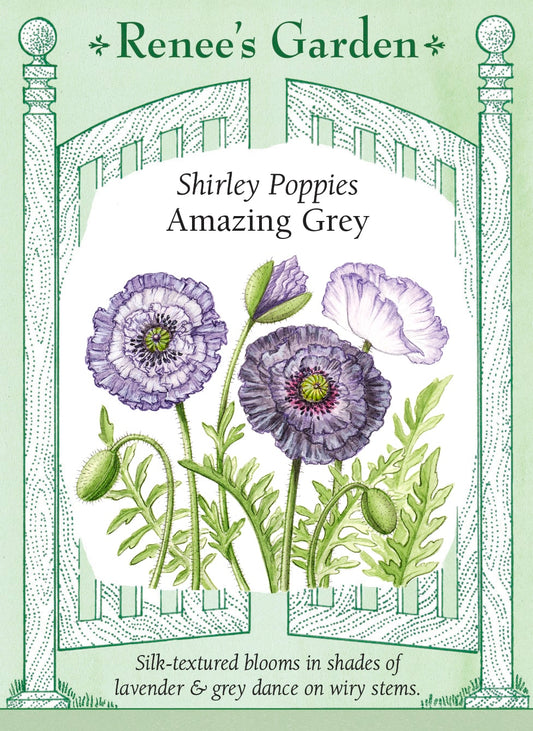 Shirley Poppies - Amazing Grey