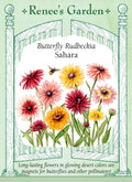 Butterfly Rudbeckia - Sahara