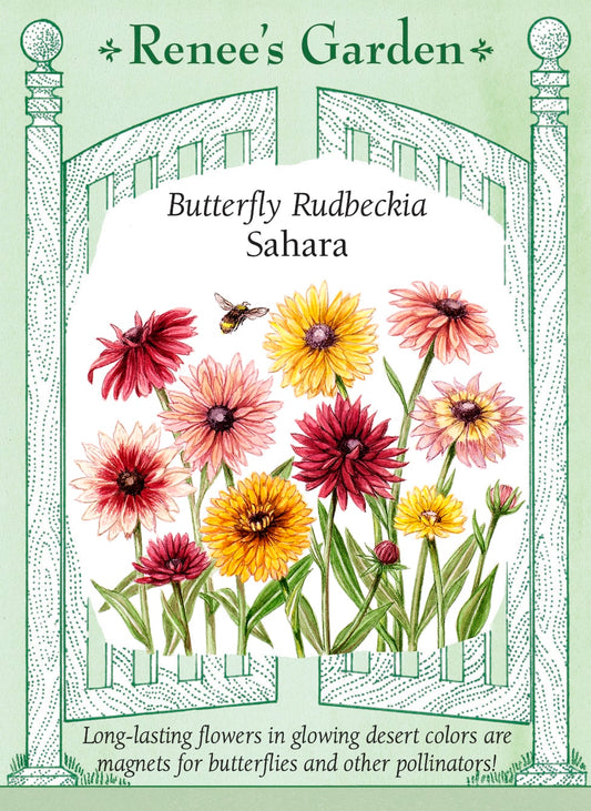 Butterfly Rudbeckia - Sahara