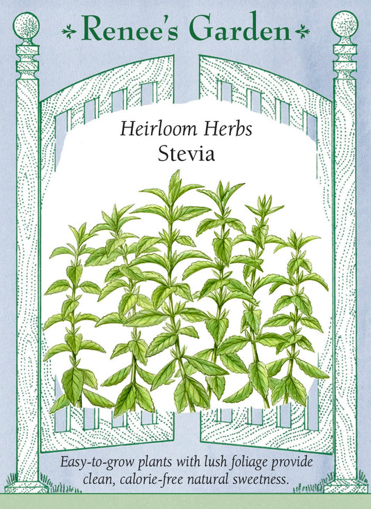 Heirloom Herbs - Stevia