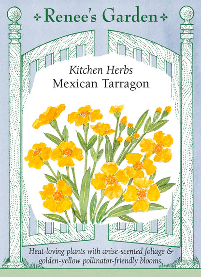 Kitchen Herbs - Mexican Tarragon