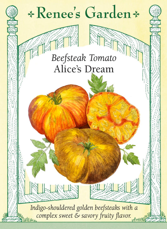 Beefsteak Tomato - Alice’s Dream