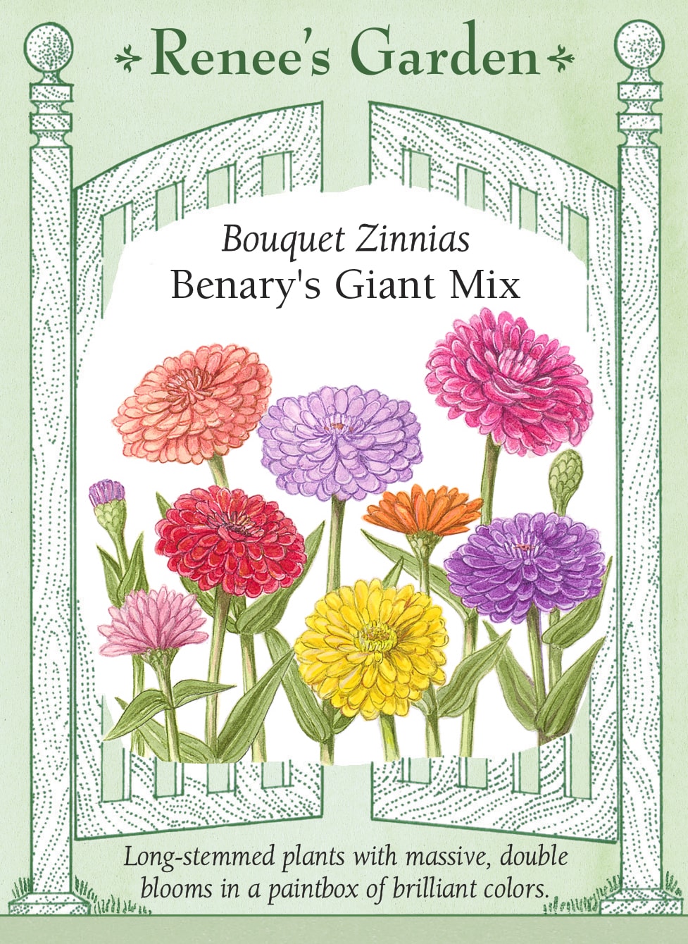 Bouquet Zinnias - Benary's Giant Mix