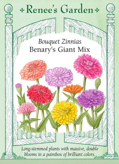Bouquet Zinnias - Benary's Giant Mix