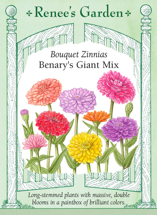 Bouquet Zinnias - Benary's Giant Mix