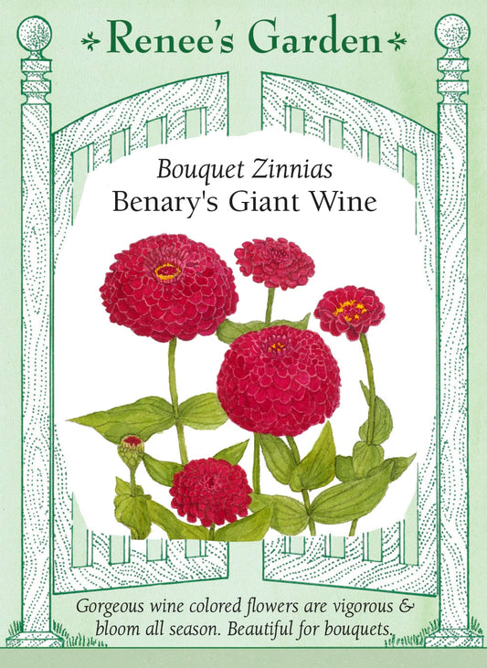 Bouquet Zinnias - Benary's Giant Wine