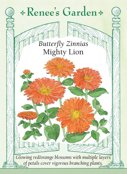 Mighty Lion' Butterfly Zinnias – Renee's Garden