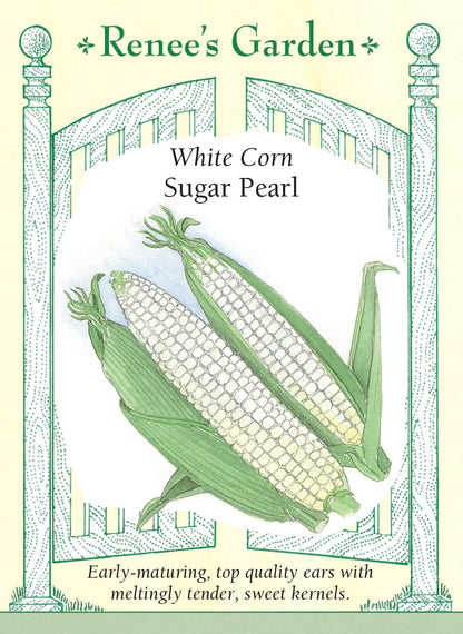 garden corn seed Sugar Pearl' White Corn – Renee's Garden