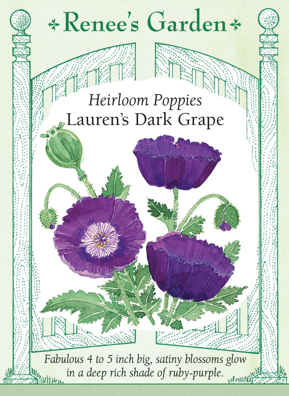 Lauren's Dark Grape