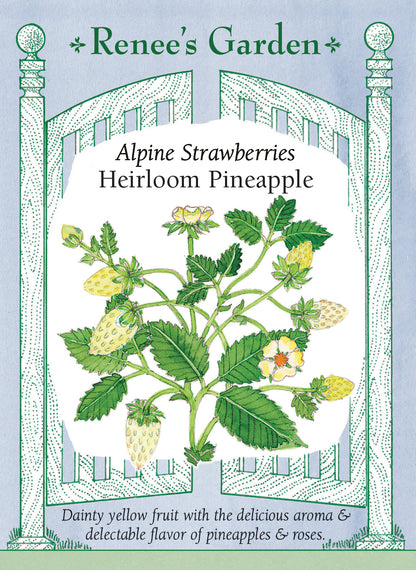 alpine strawberry seed Heirloom Pineapple' Alpine Strawberries – Renee's Garden