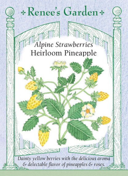 Heirloom Pineapple