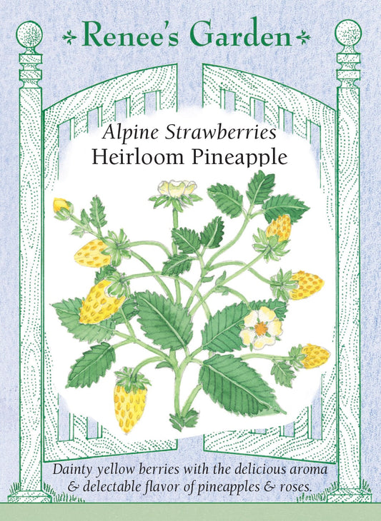 Heirloom Pineapple