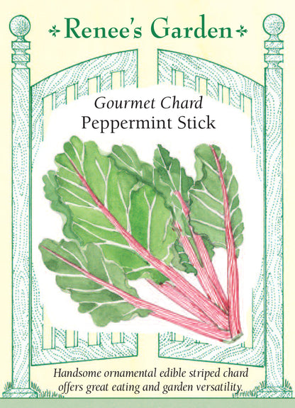 Gourmet Chard - Peppermint Stick