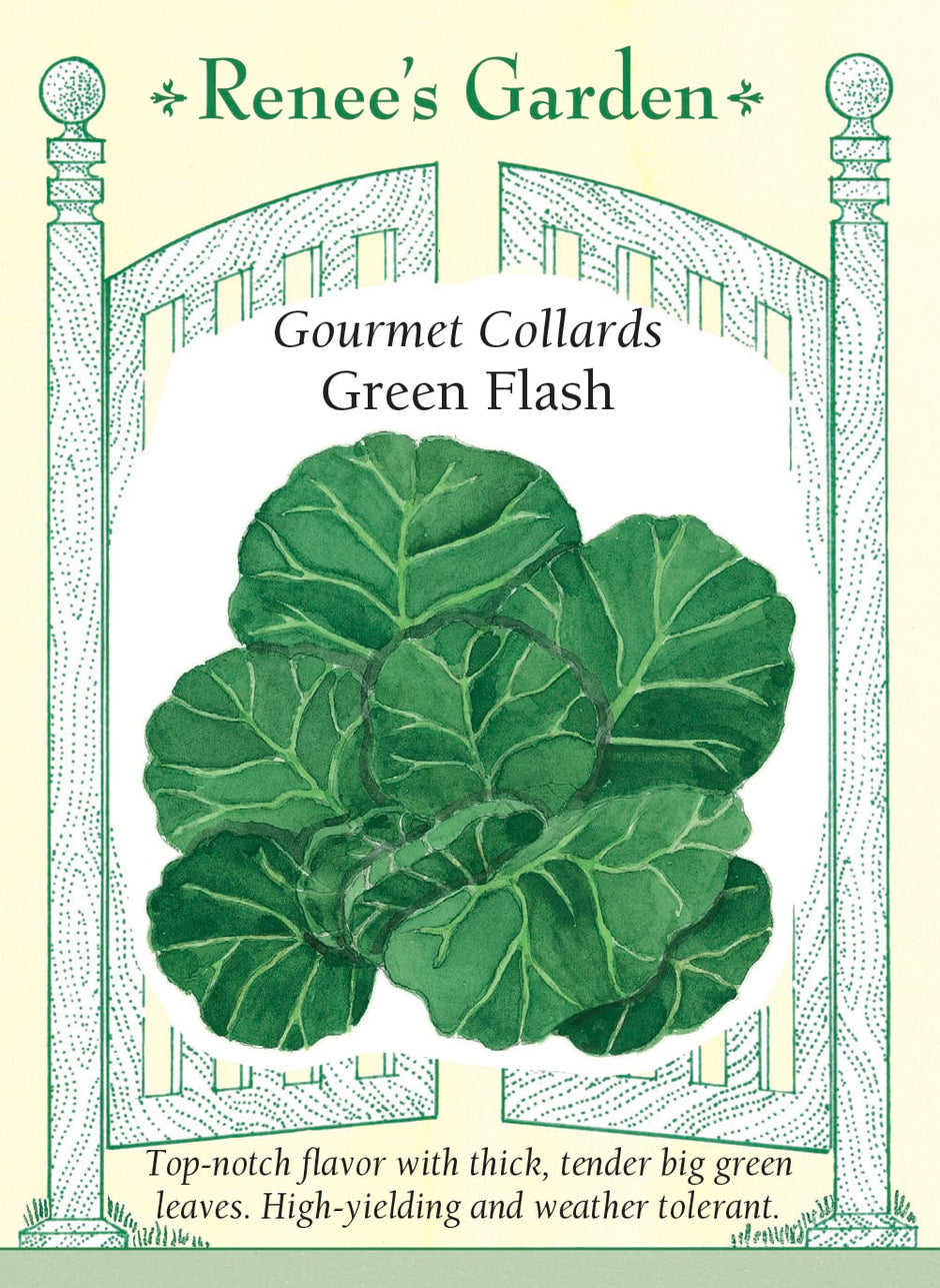 Collards – Renee's Garden