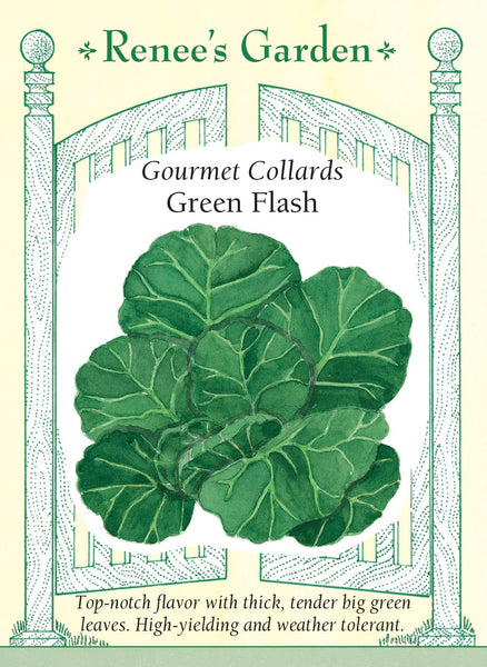 5885_Collards_Flash2023F_66c21