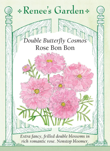 5920_Cosmo_BonBon.