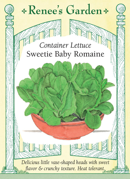 Sweetie Baby Romaine
