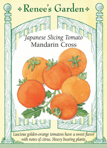 5942TomMandarin2025e_PF_grande
