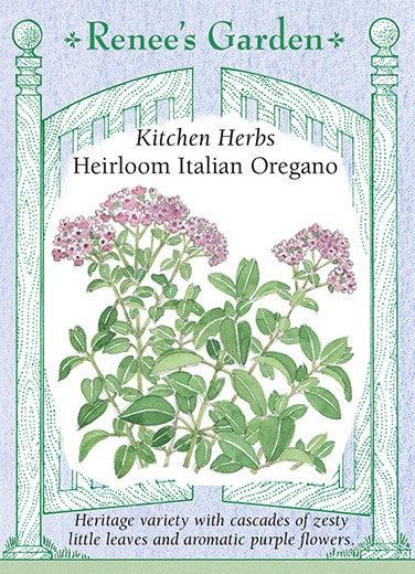 Heirloom Italian Oregano