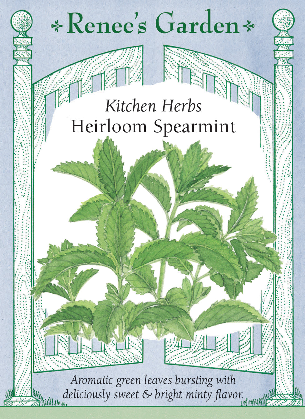 Heirloom Spearmint
