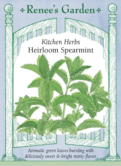 Heirloom Spearmint