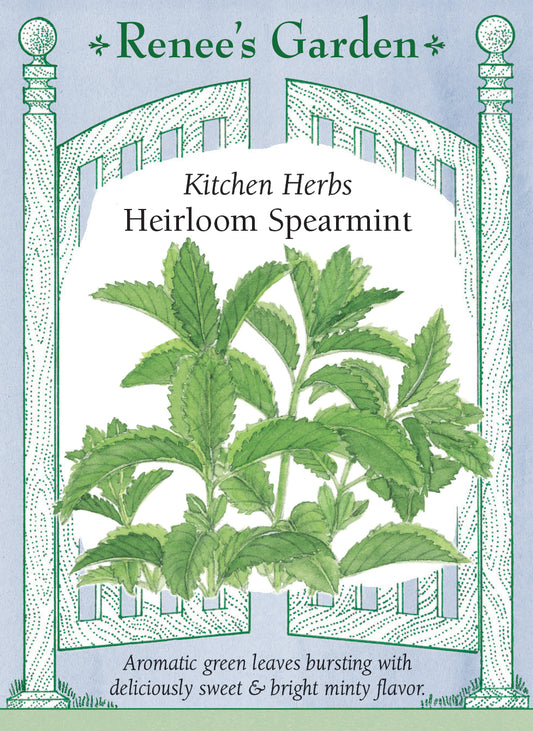 Heirloom Spearmint