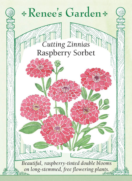 5952_Zin.RaspbSorbet.