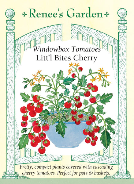 5958_Tom_ChBite.2021F_1687c33e