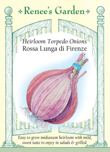 5961_Onion_Firenze2022F_4062dd