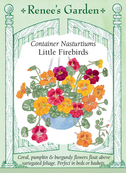 planting nasturtium seeds in containers Little Firebirds' Hanging Basket Nasturtiums – Renee's Garden