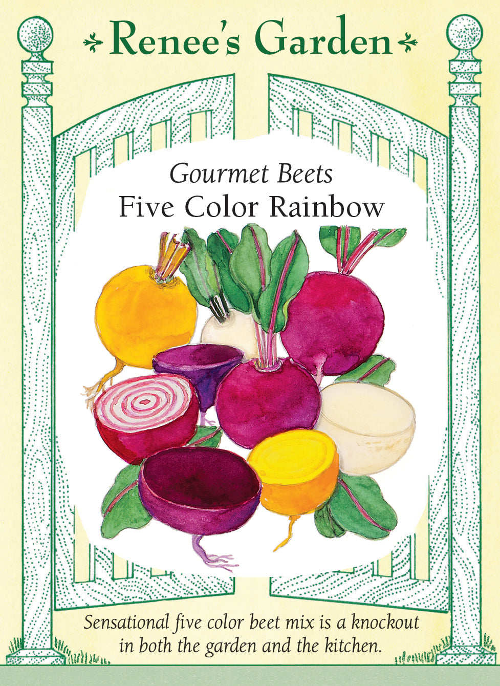 'Five Color Rainbow' Gourmet Beets – Renee's Garden