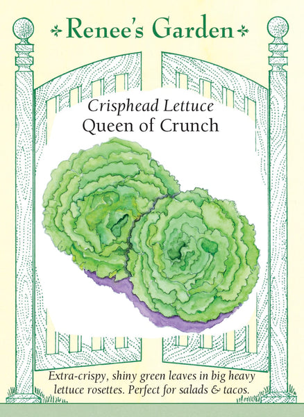 5976_Lettuce_Crunch.