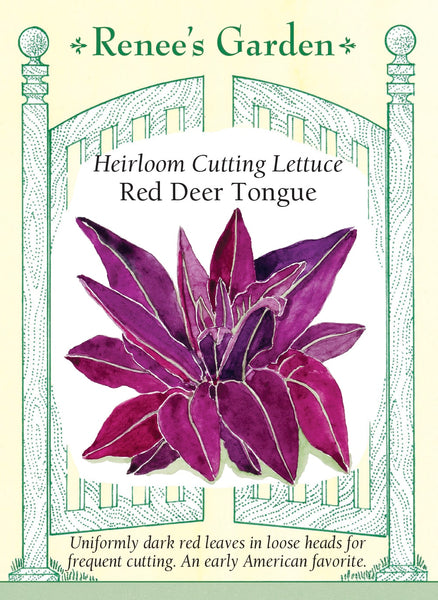 5977_Lett_DeerTongue2023F_0739