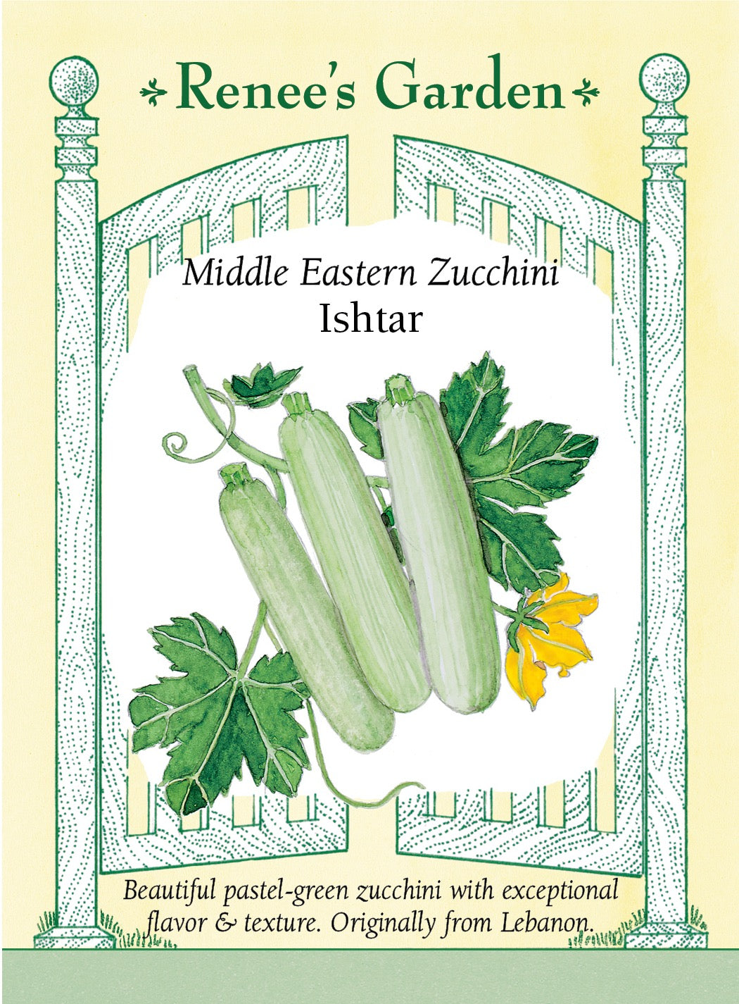 Middle Eastern Zucchini - Ishtar