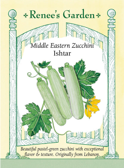 Middle Eastern Zucchini - Ishtar