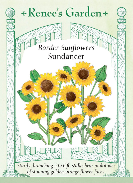 Sundancer