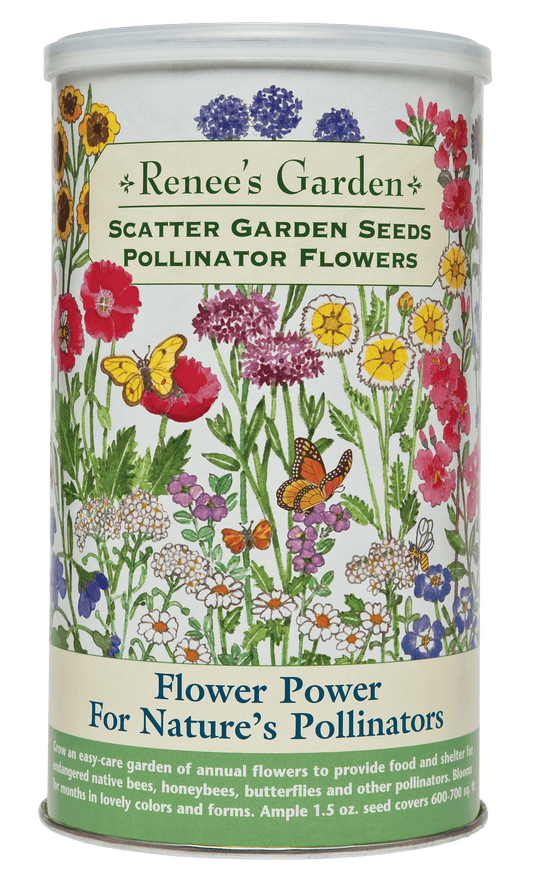 Flower Power For Nature's Pollinators