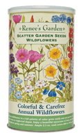 Colorful & Carefree Annual Wildflowers