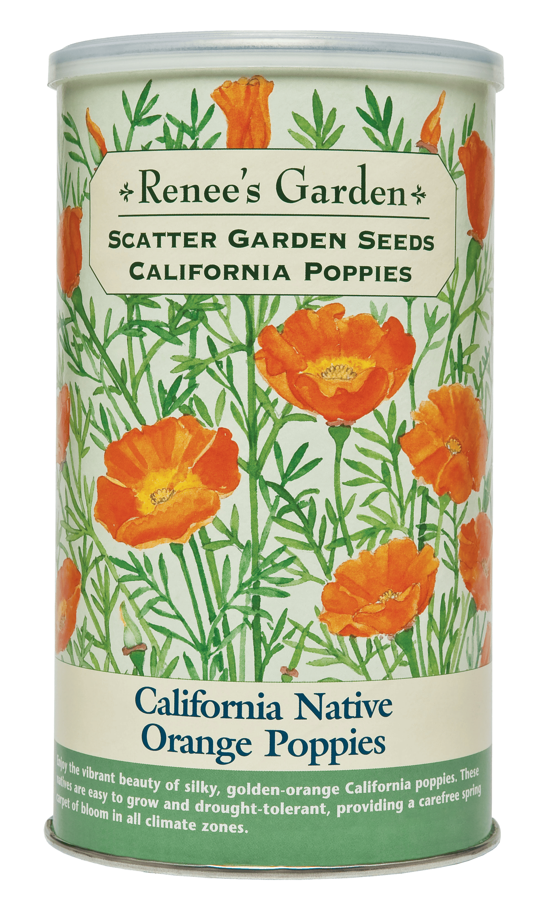 orange flower seeds California Native Orange Poppies' Scatter Garden Seeds – Renee's Garden