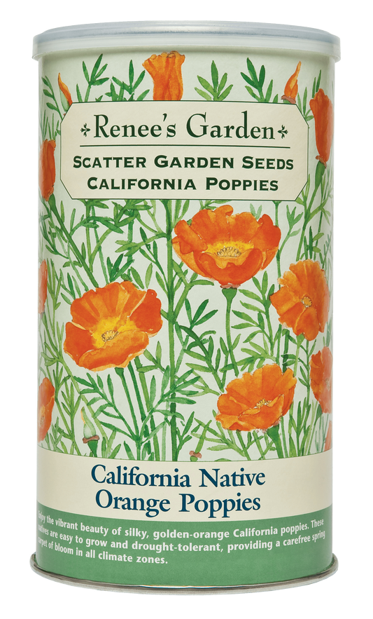 California Native Orange Poppies