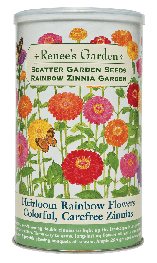 Heirloom Rainbow Flowers Colorful, Carefree Zinnias
