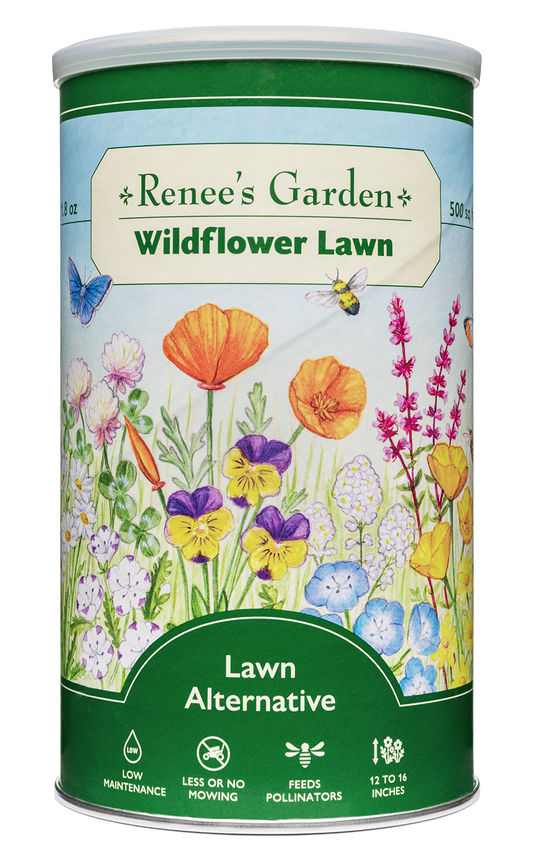 Wildflower Lawn