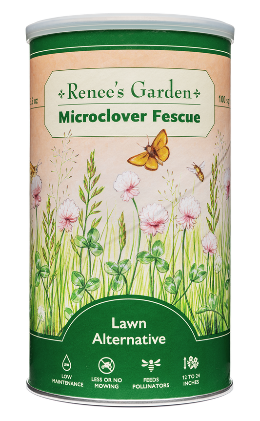 Microclover Fescue