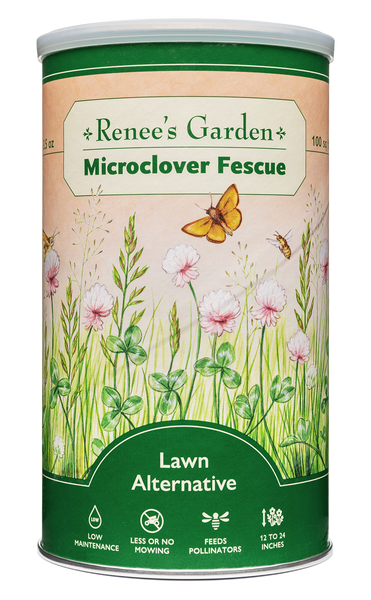 Microclover Fescue Lawn Alternative