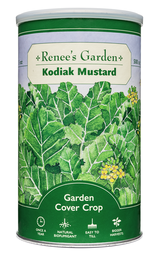 Kodiak Mustard