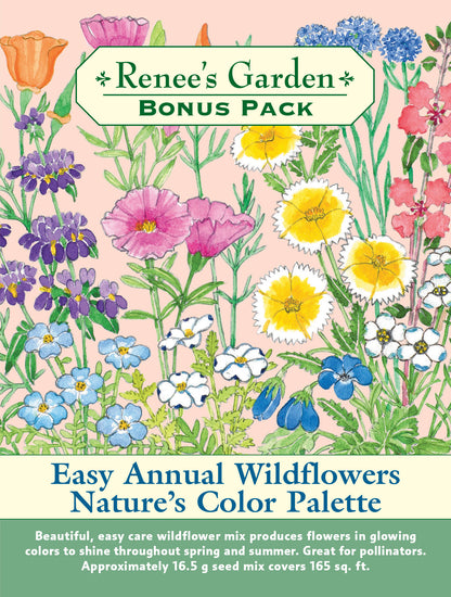 Easy Annual Wildflowers Nature’s Color Palette