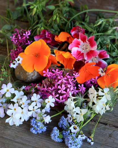 Pollinator Flowers - California Wildflower Mix