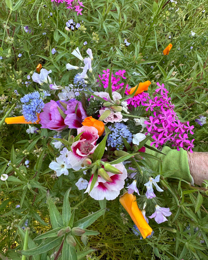 Pollinator Flowers - California Wildflower Mix