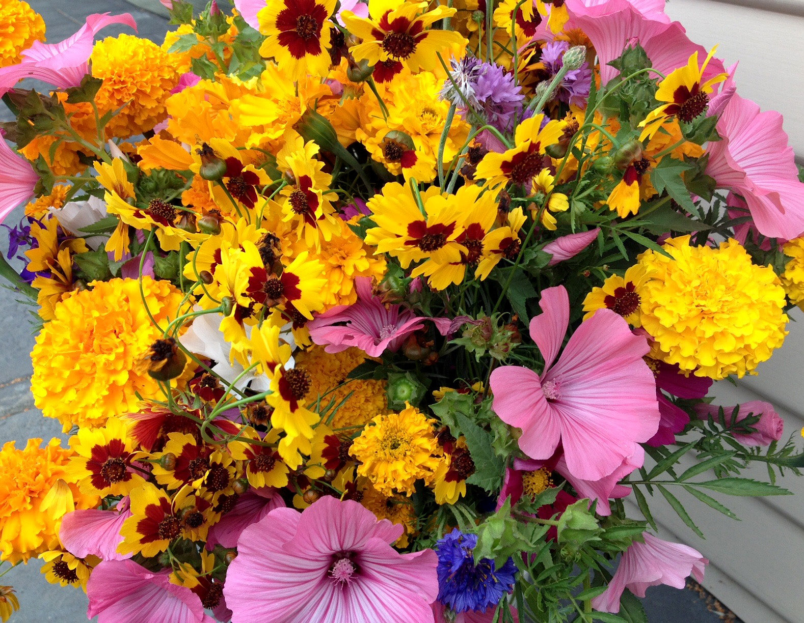 Endless Bouquets Cut Flower Garden' Scatter Garden Seeds – Renee's