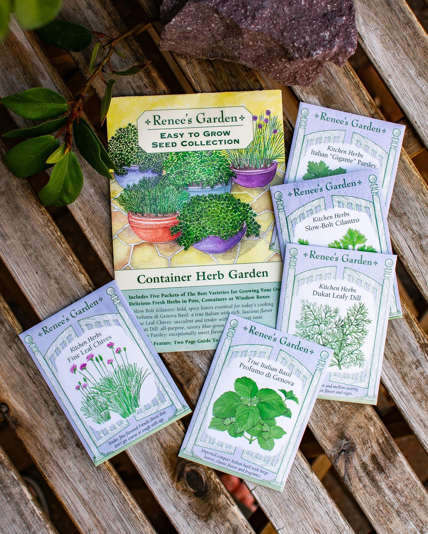 Easy To Grow - The Container Herb Garden